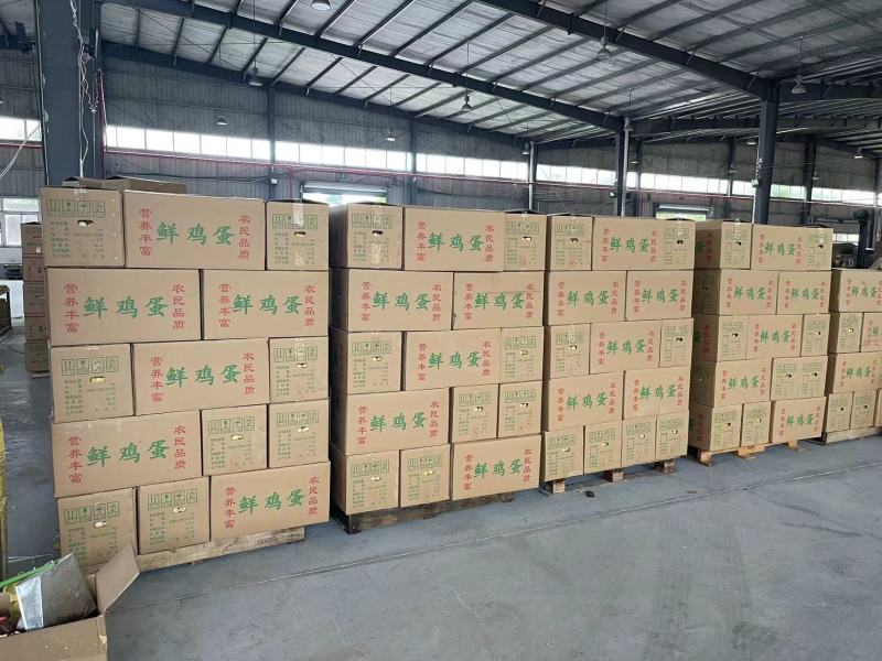 精品粉壳鸡蛋供应商超供应链电商平台，全国发货