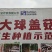 大球盖菇
