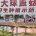 大球盖菇