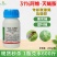 31%阿维灭蝇胺杀虫剂专打斑潜蝇果实蝇鬼画符