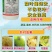 31%阿维灭蝇胺杀虫剂专打斑潜蝇果实蝇鬼画符