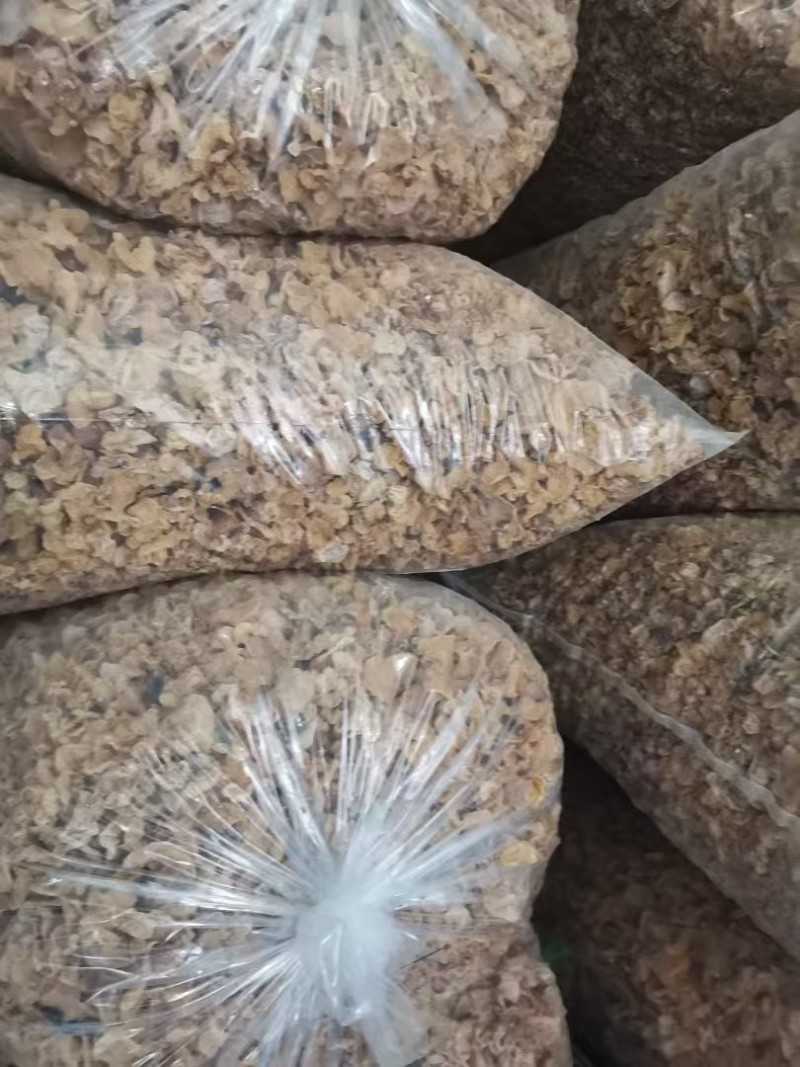 山西精品羊肚耳现货干货大量上市对接商超欢迎选购