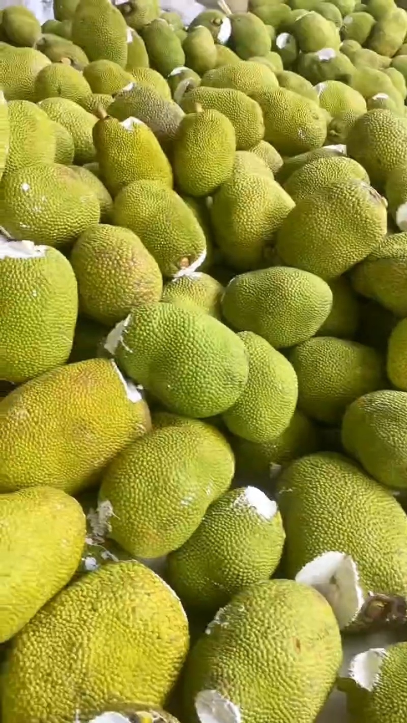 （精品推荐）菠萝蜜/海南菠萝蜜/产地货源/全国供应电商