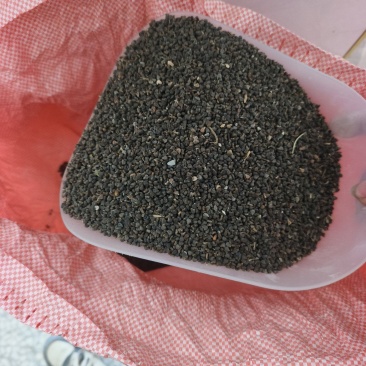 茼麻子