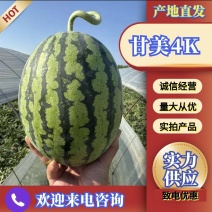 江苏甘美4k西瓜大量供应代发全国诚信合作欢迎来电
