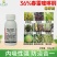 36%春雷喹啉铜杀菌剂防治细菌性角斑溃疡流胶