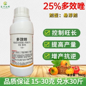 25%多效唑生长调节剂控制旺长缩短节间增强抗逆