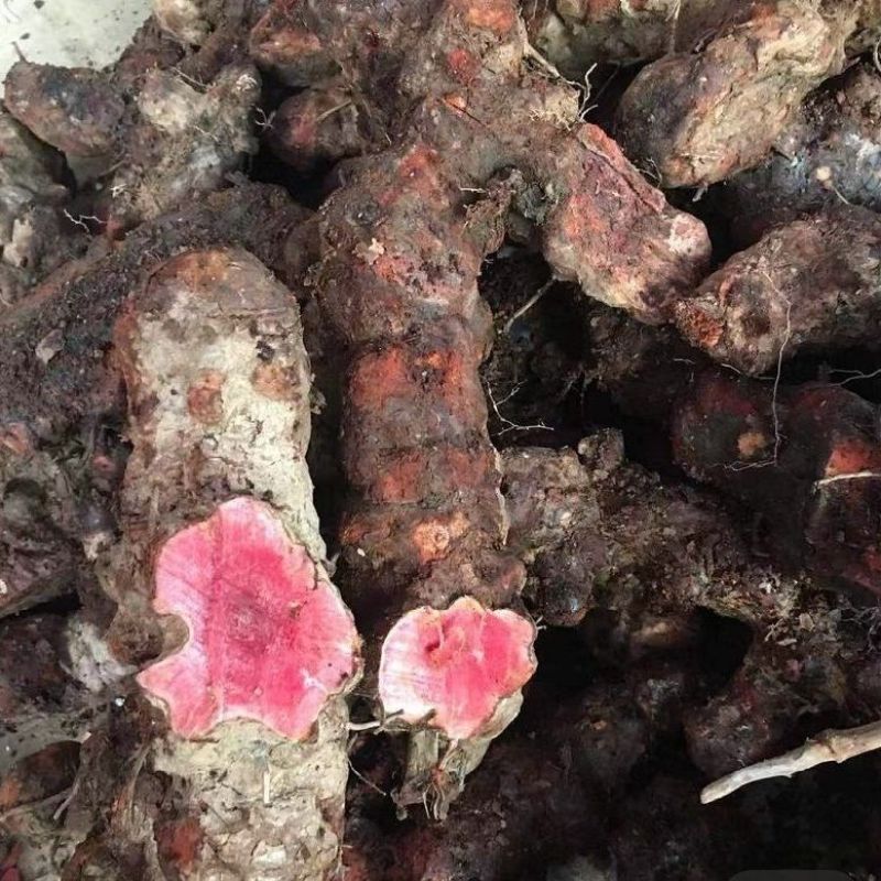 云南文山红肉土茯苓包邮到家，量大优惠，包邮，包邮，包邮
