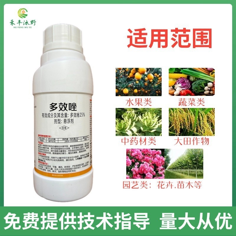 25%多效唑生长调节剂控制旺长缩短节间增强抗逆