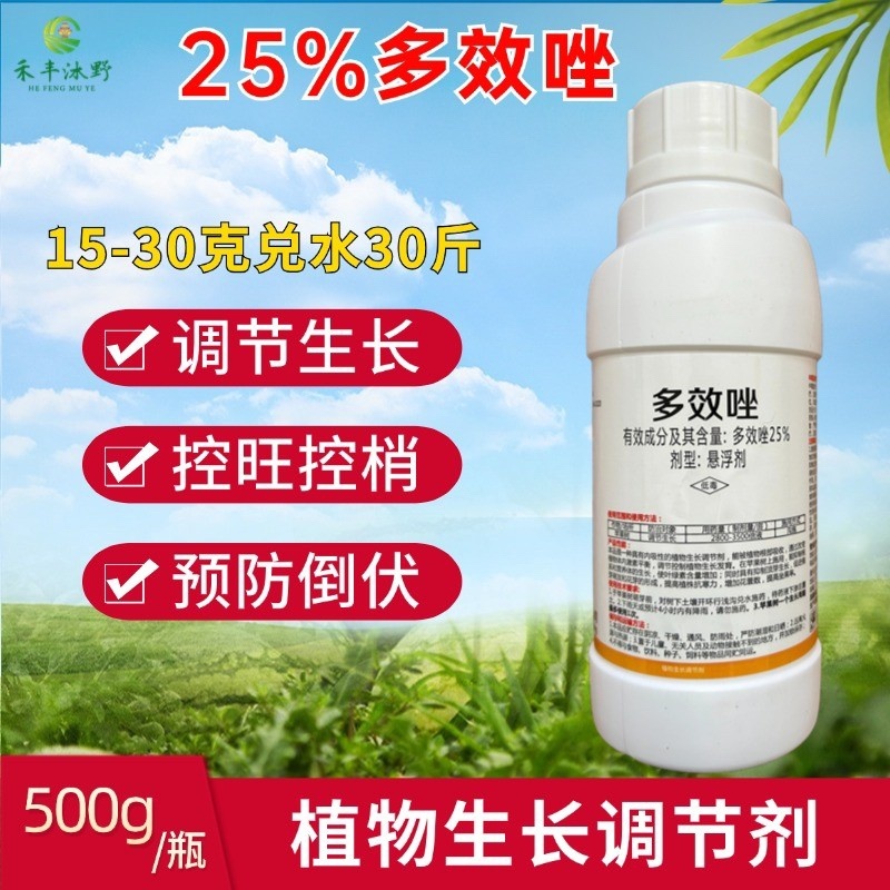 25%多效唑生长调节剂控制旺长缩短节间增强抗逆