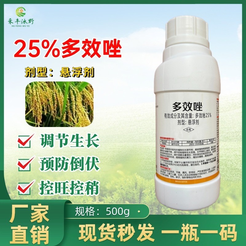 25%多效唑生长调节剂控制旺长缩短节间增强抗逆