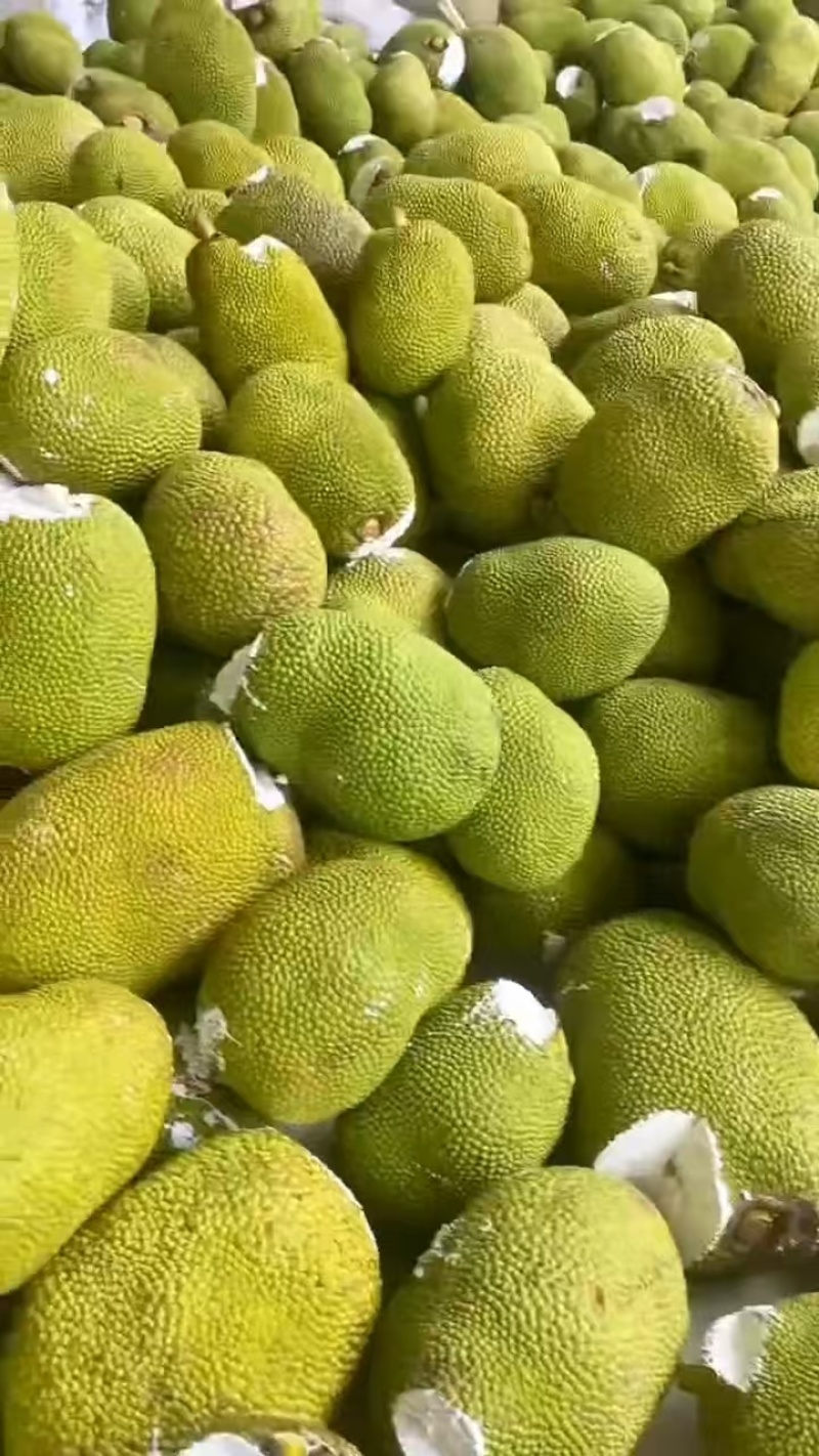 （推荐）海南菠萝蜜/精品菠萝蜜/产地直发/全国供应批发
