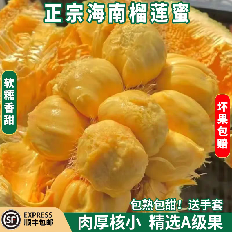 （推荐）海南菠萝蜜/精品菠萝蜜/产地直发/全国供应批发