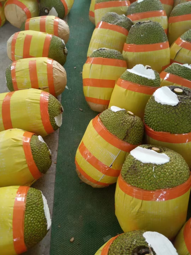 （推荐）海南菠萝蜜/精品菠萝蜜/产地直发/全国供应批发