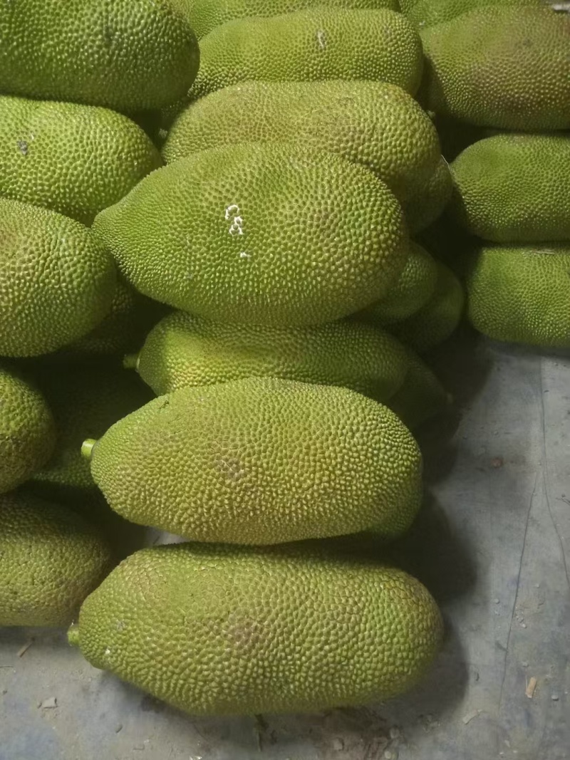 （推荐）海南菠萝蜜/精品菠萝蜜/产地直发/全国供应批发