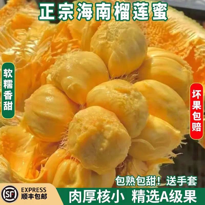 （推荐）海南菠萝蜜/精品菠萝蜜/产地直发/全国供应批发
