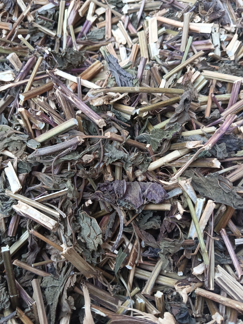 紫苏叶苏叶实物拍摄自然风干品质佳价格优鲁赣药材