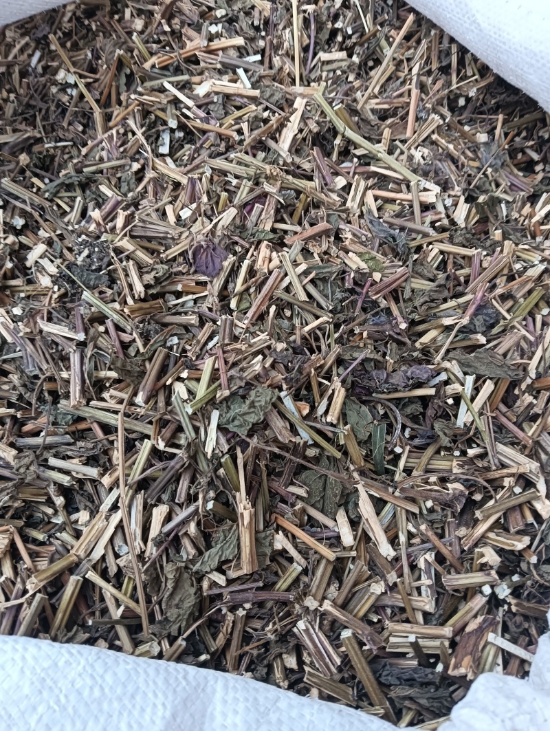 紫苏叶苏叶实物拍摄自然风干品质佳价格优鲁赣药材