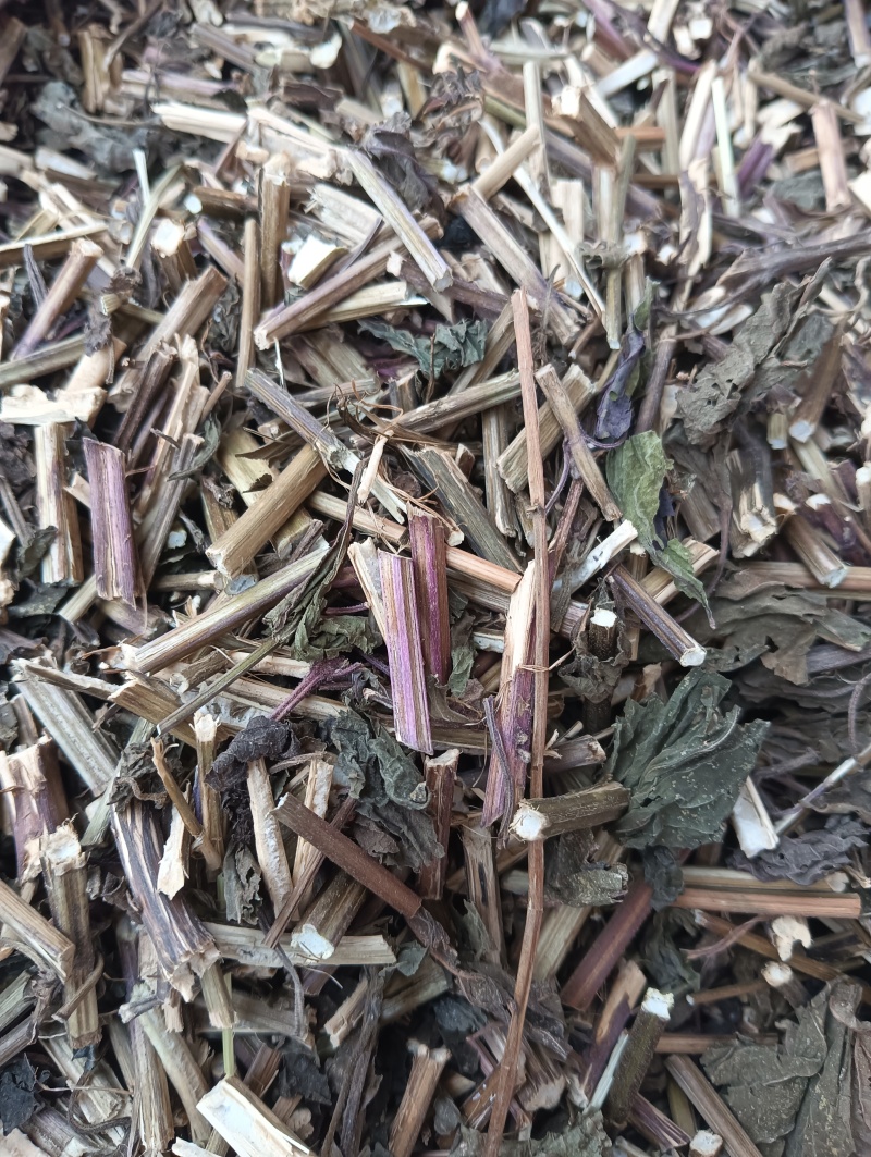紫苏叶苏叶实物拍摄自然风干品质佳价格优鲁赣药材