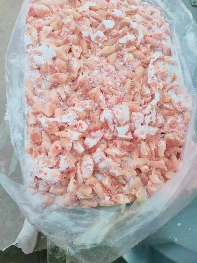 鸡脚筋