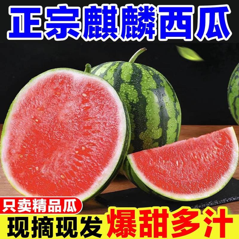 海南西瓜/麒麟西瓜/无籽西瓜/产地批发/供应电商市场