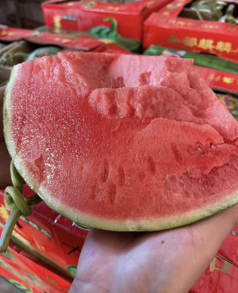 美都西瓜无籽西瓜云南西瓜，品质保证，对接电商市场批发商