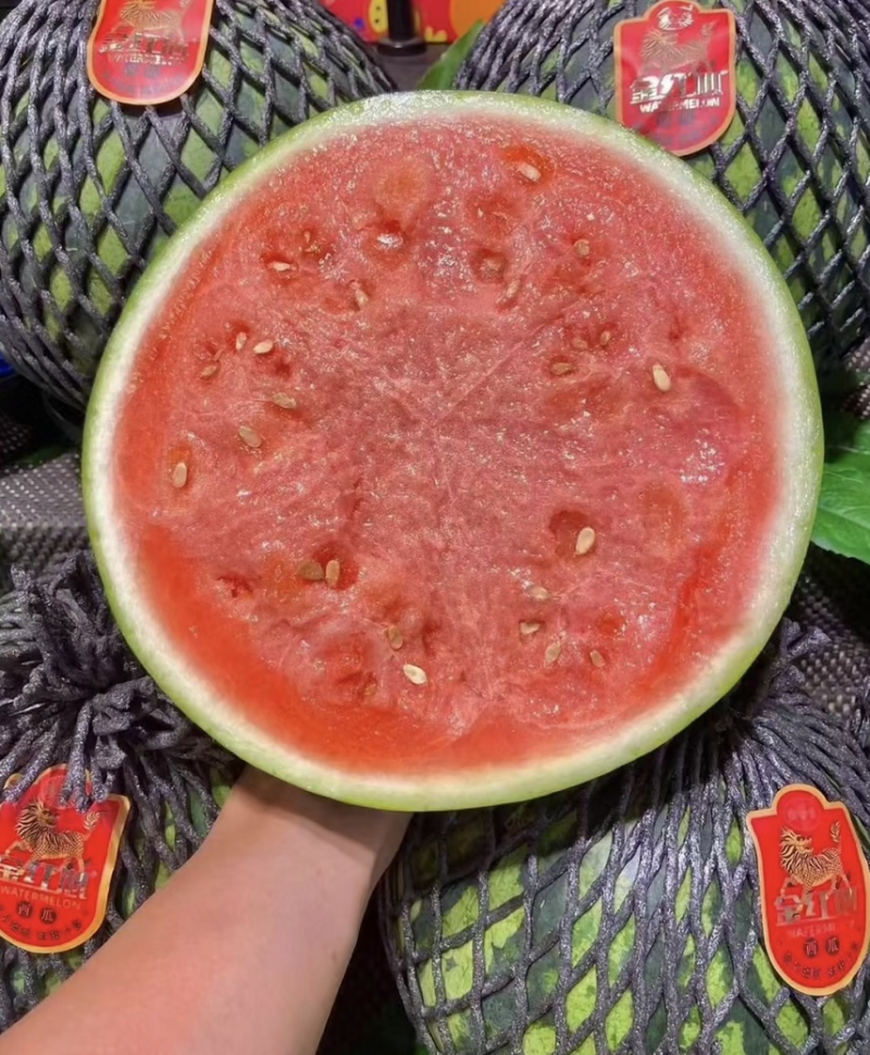 美都西瓜云南西瓜大量现货供应，皮薄多汁，代发全国客商