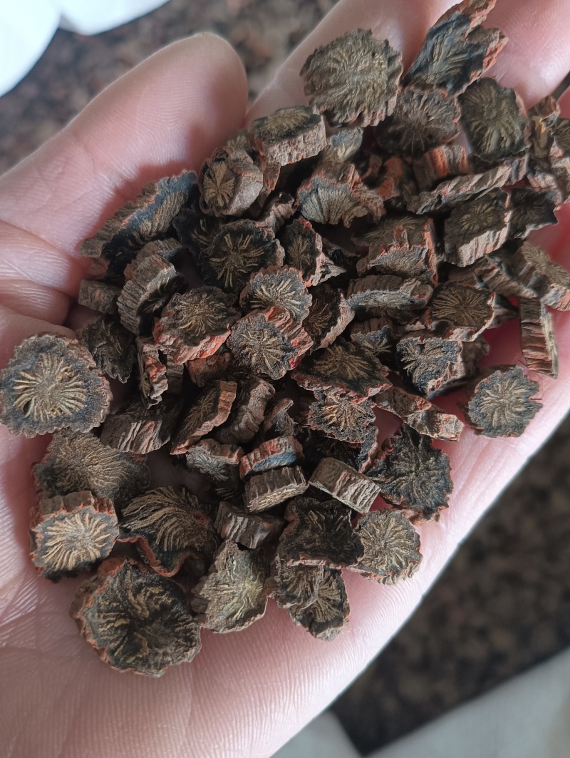 正宗山东丹参紫丹参实物实拍纯净品质看得见药材批发