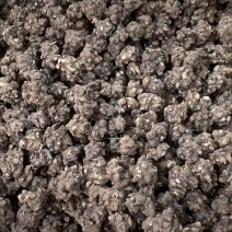 猫爪草【包邮】三斤起发货可批量可零售量大从优