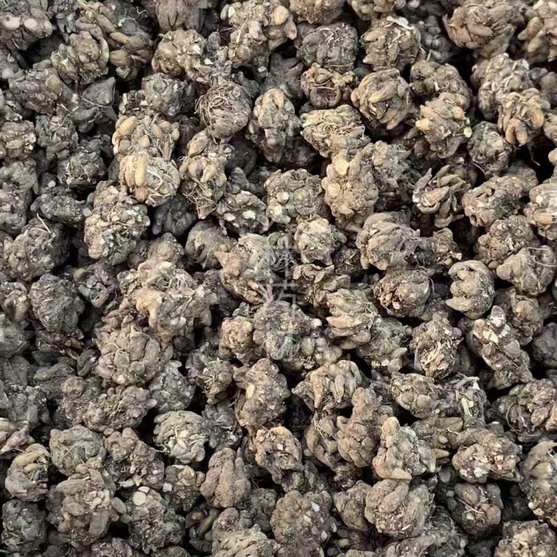 猫爪草【包邮】三斤起发货可批量可零售量大从优