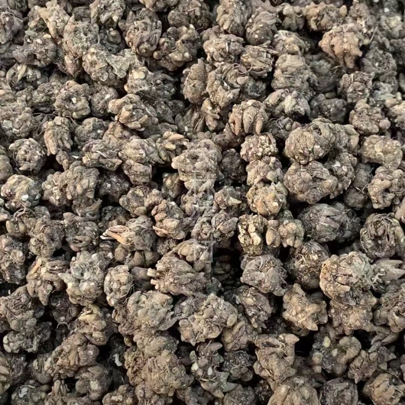猫爪草【包邮】三斤起发货可批量可零售量大从优