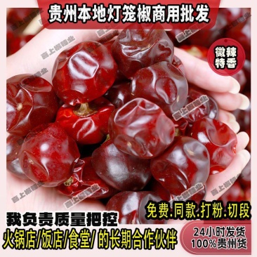 贵州灯笼椒干辣椒辣椒面辣椒段