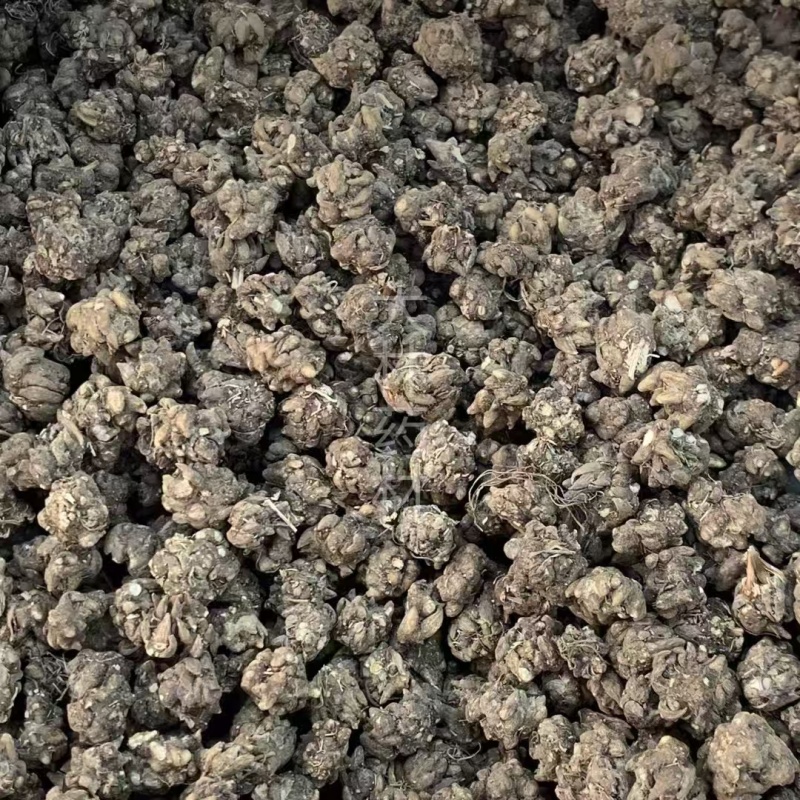 猫爪草【包邮】三斤起发货可批量可零售量大从优