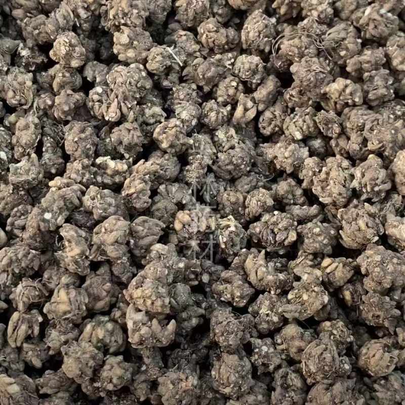 猫爪草【包邮】三斤起发货可批量可零售量大从优