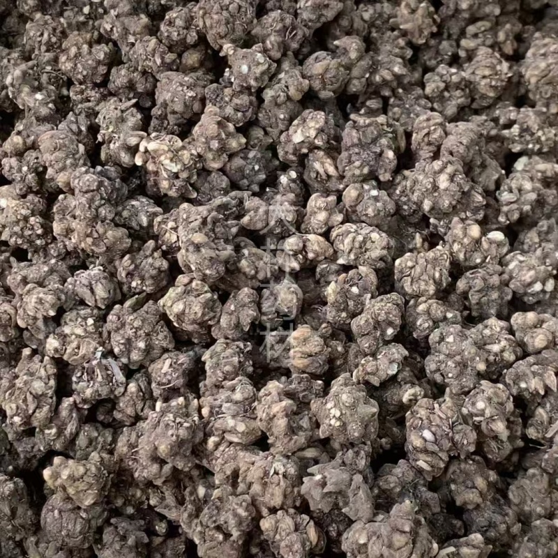 猫爪草【包邮】三斤起发货可批量可零售量大从优