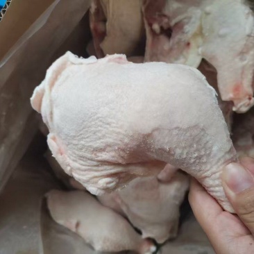 单冻鸡排腿分割厂干货，新开检疫，规格齐全