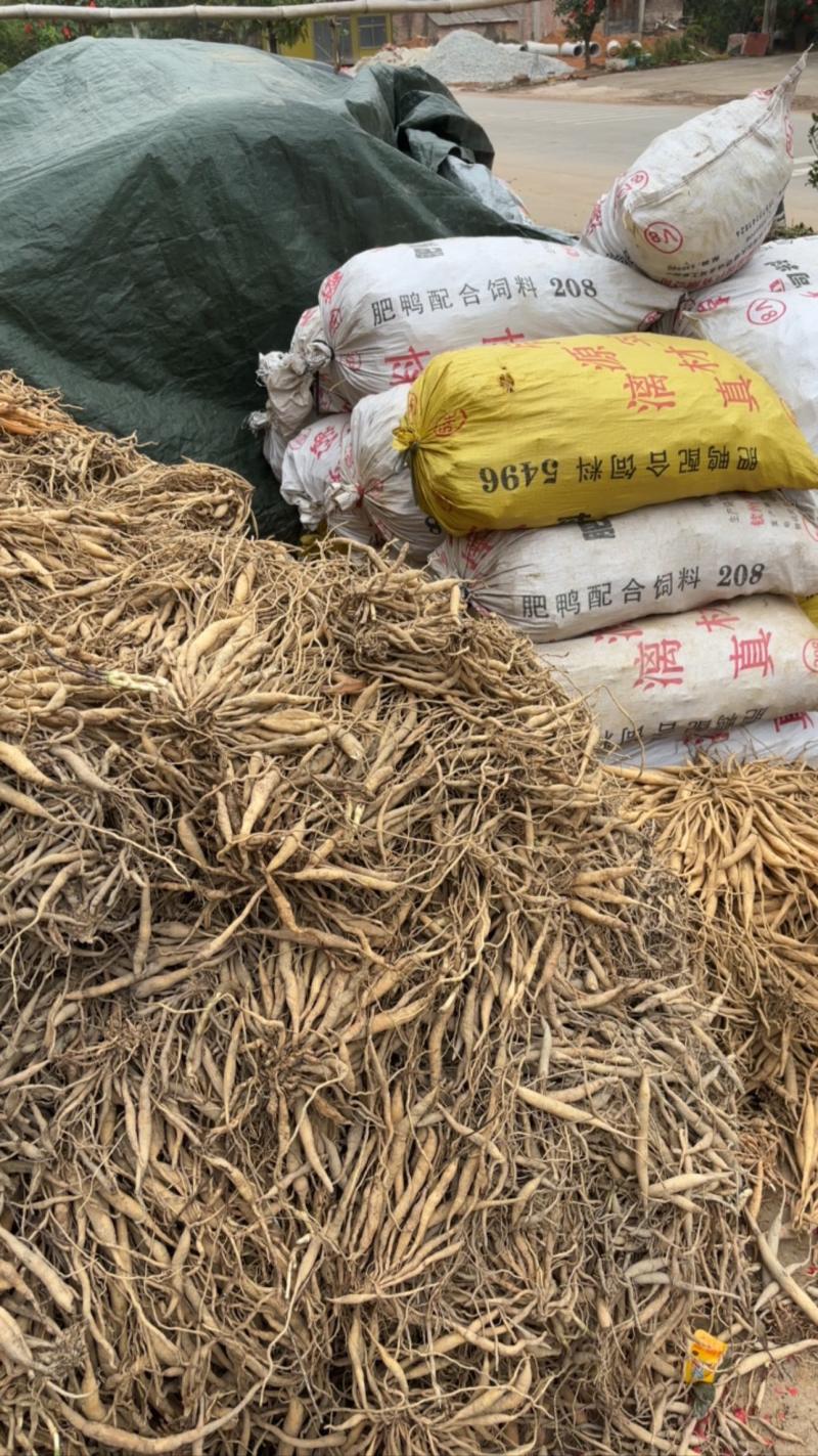百部