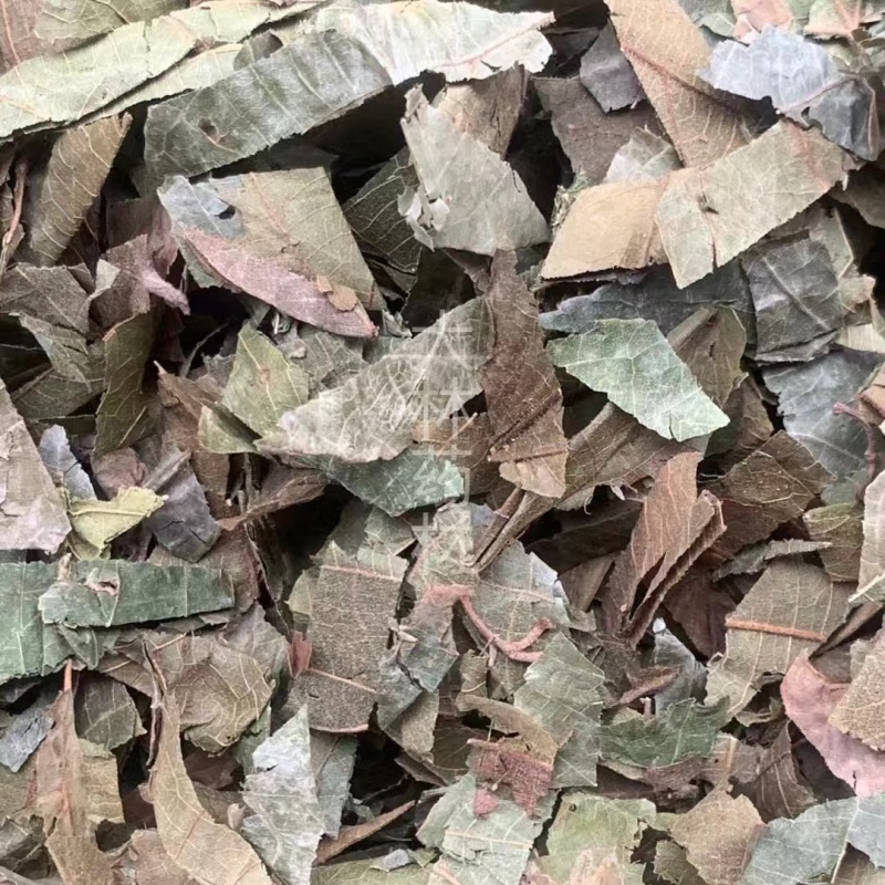 布渣叶【包邮】三斤起发货可批量可零售量大从优