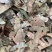 布渣叶【包邮】三斤起发货可批量可零售量大从优