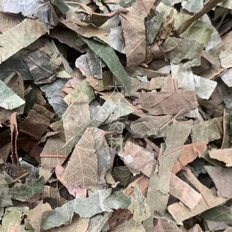 布渣叶【包邮】三斤起发货可批量可零售量大从优