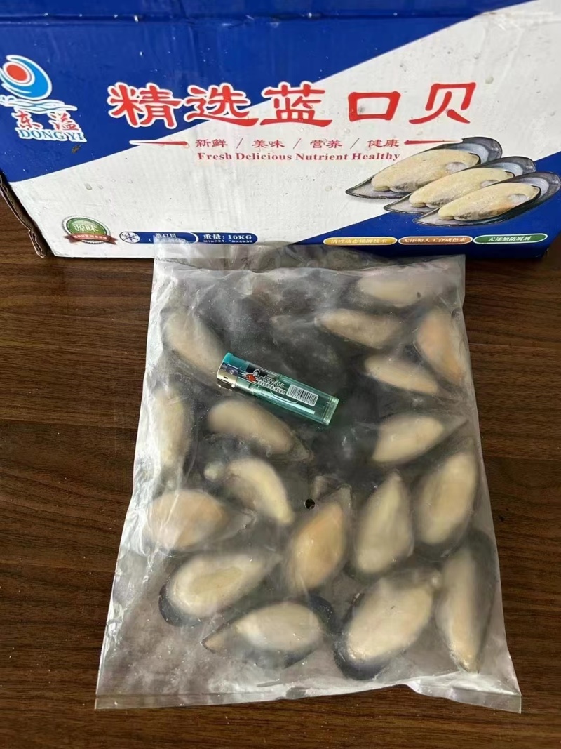 蓝口贝