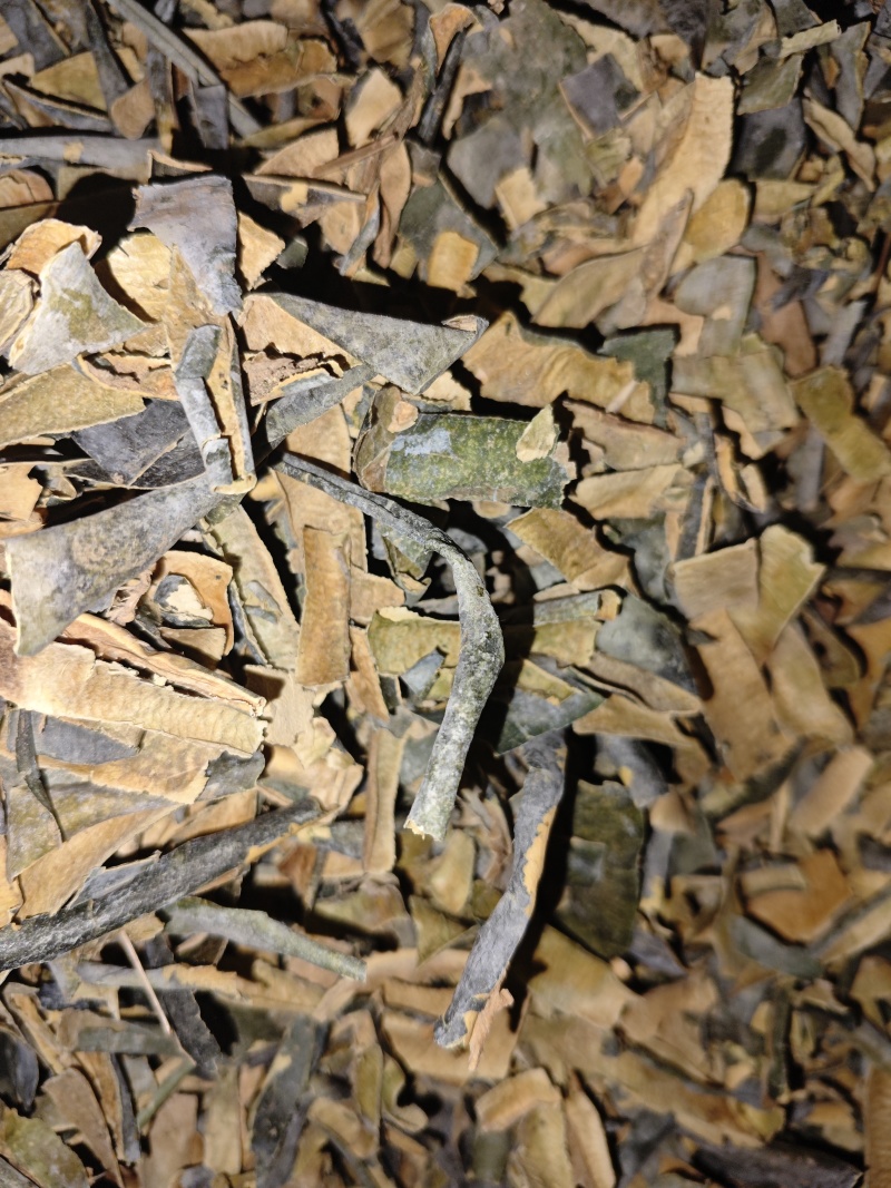 冬瓜皮瓜皮农村种植货好不满意可以退换货