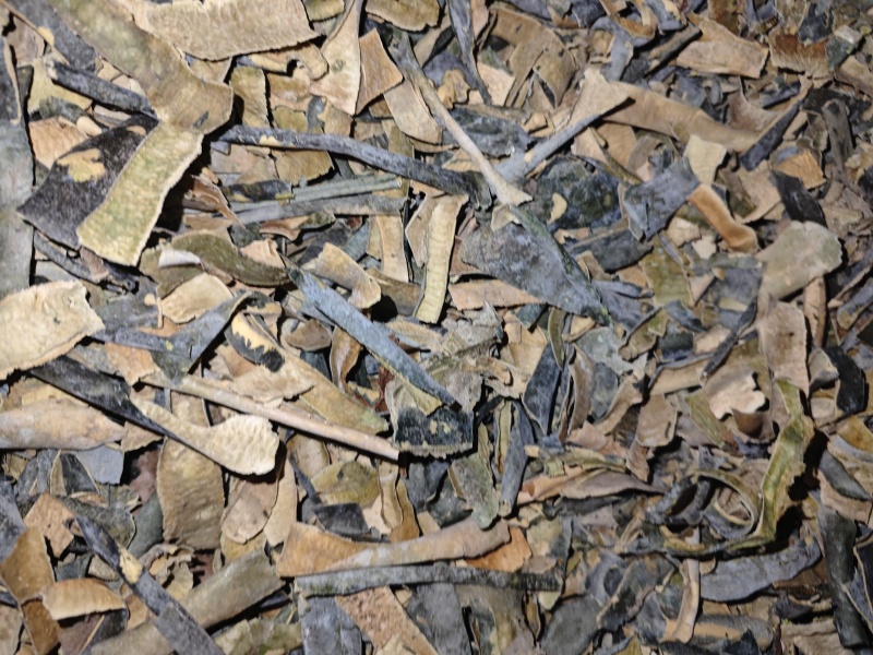 冬瓜皮瓜皮农村种植货好不满意可以退换货