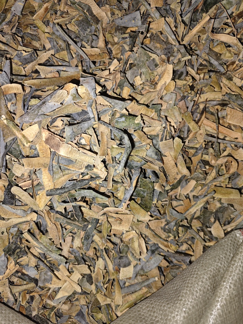 冬瓜皮瓜皮农村种植货好不满意可以退换货