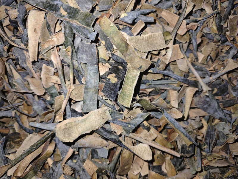 冬瓜皮瓜皮农村种植货好不满意可以退换货