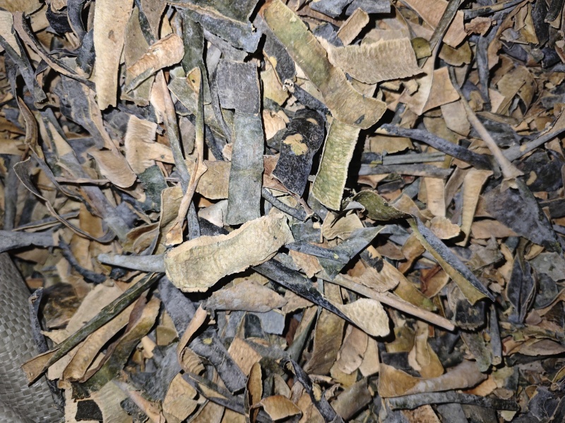 冬瓜皮瓜皮农村种植货好不满意可以退换货