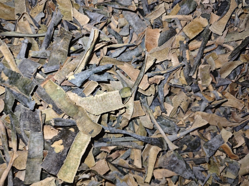 冬瓜皮瓜皮农村种植货好不满意可以退换货