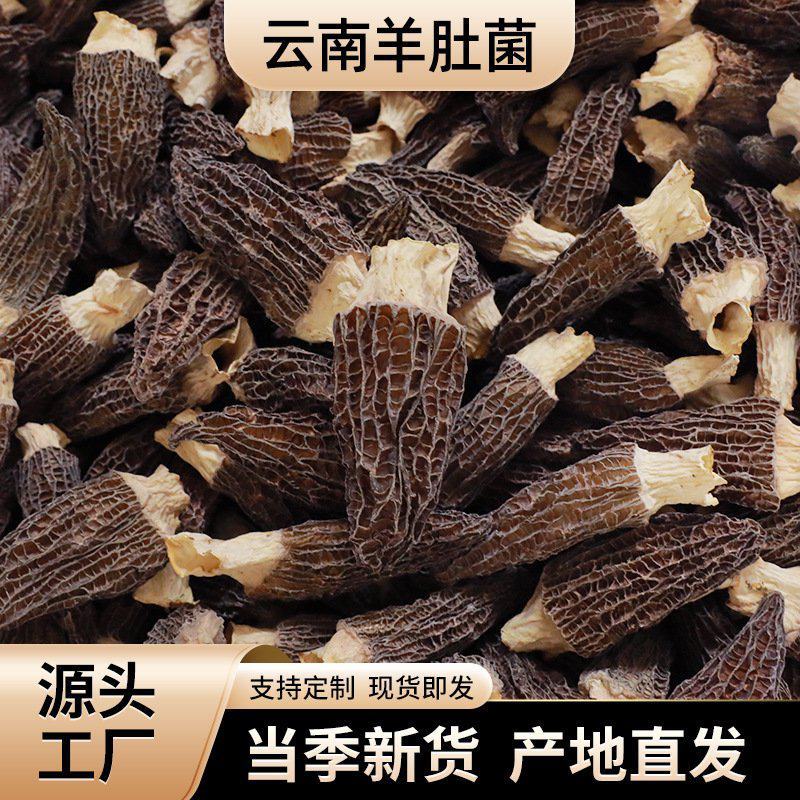 云南头茬羊肚菌干货一斤林地种植菌菇汤包煲汤食材批发
