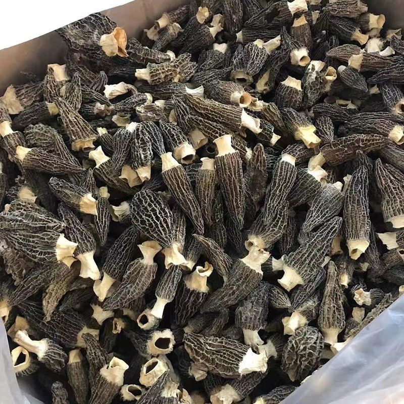 云南头茬羊肚菌干货一斤林地种植菌菇汤包煲汤食材批发