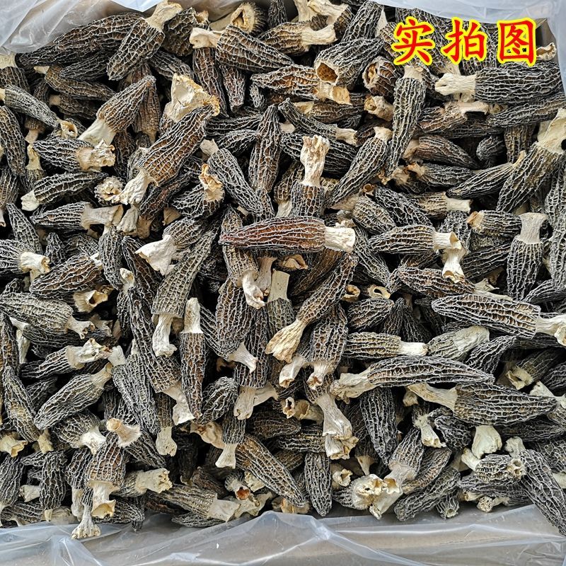 云南头茬羊肚菌干货一斤林地种植菌菇汤包煲汤食材批发
